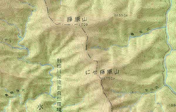 藤原山とにせ藤原山